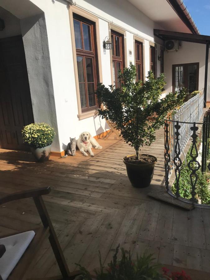 Nordic Home Sibiu Exteriér fotografie