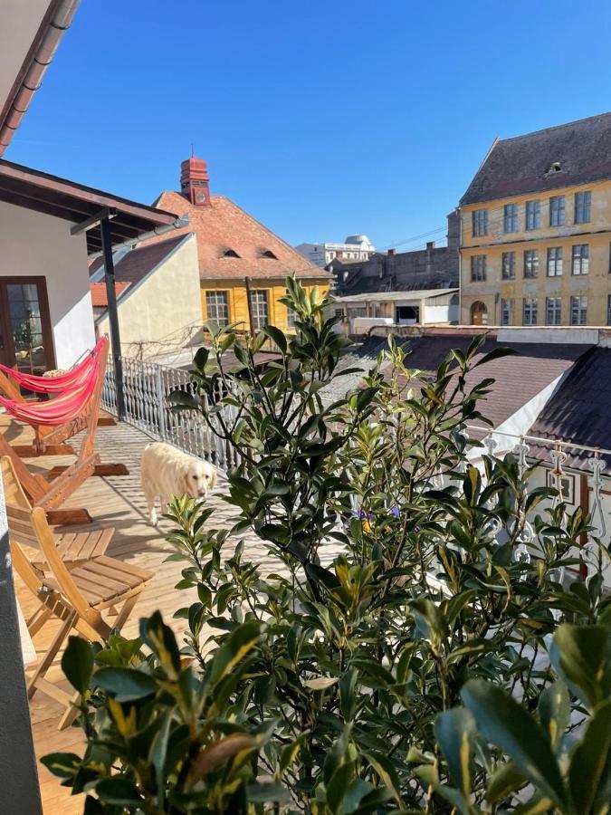 Nordic Home Sibiu Exteriér fotografie
